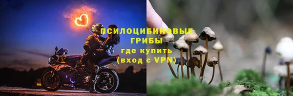 ПСИЛОЦИБИНОВЫЕ ГРИБЫ Бугульма